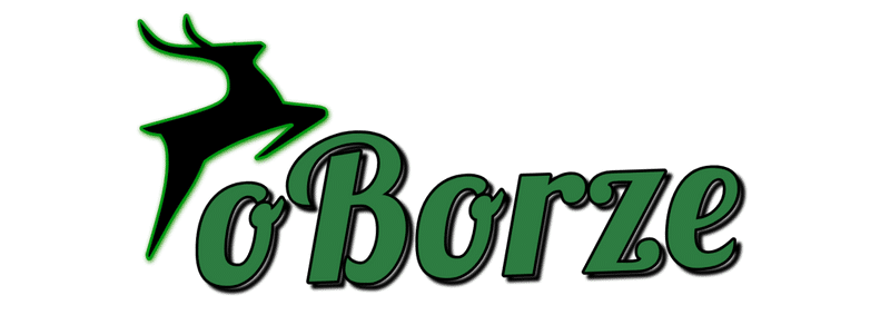 Shoper demo brak logo - strona główna