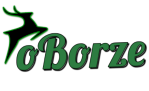 Shoper demo brak logo - strona główna